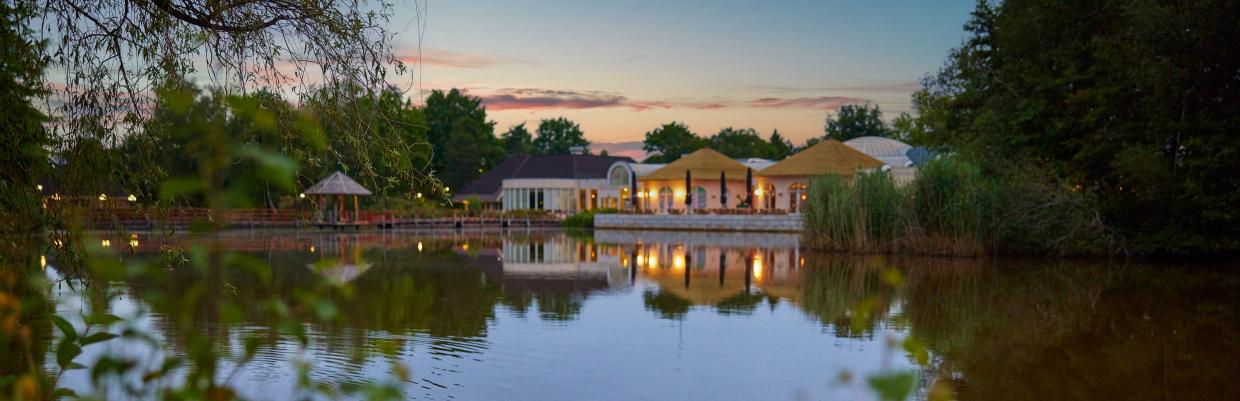 lpe-header