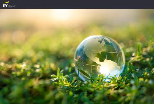 ey-law-beeld